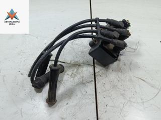 катушка зажигания Dacia (Renault) Sandero I 2008, 1.4 л., бензин, МКПП, синий, хетчбэк 5 дв., 7700274008