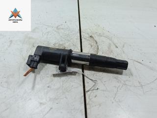 катушка зажигания Renault Scenic 1 поколение [рестайлинг] 2002, 1.6 л., бензин, МКПП, серый, минивэн, R0903S00103