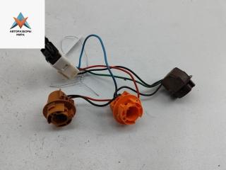 Патрон лампы фонаря Mitsubishi Carisma 1 поколение [рестайлинг] 2001, 1.6 л., бензин, МКПП, серый, хетчбэк 5 дв.