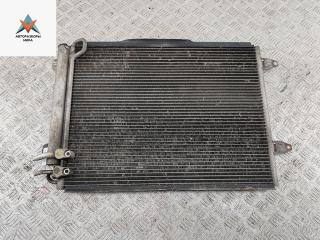 радиатор кондиционера Volkswagen Passat B6 2006, 2.0 л., дизель, МКПП, серый, универсал