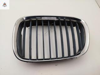 решетка радиатора BMW 5 серия E39 1998, синий, седан, 8159311