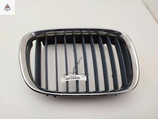 решетка радиатора BMW 5 серия E39 1998, синий, седан, 8159312