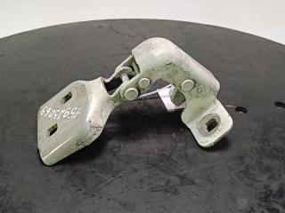 петля двери Opel Movano 2 поколение (B) [рестайлинг] 2019, цвет