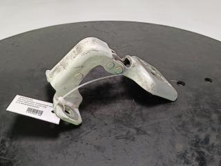 петля двери Opel Movano 2 поколение (B) [рестайлинг] 2019, цвет, 804000006RD