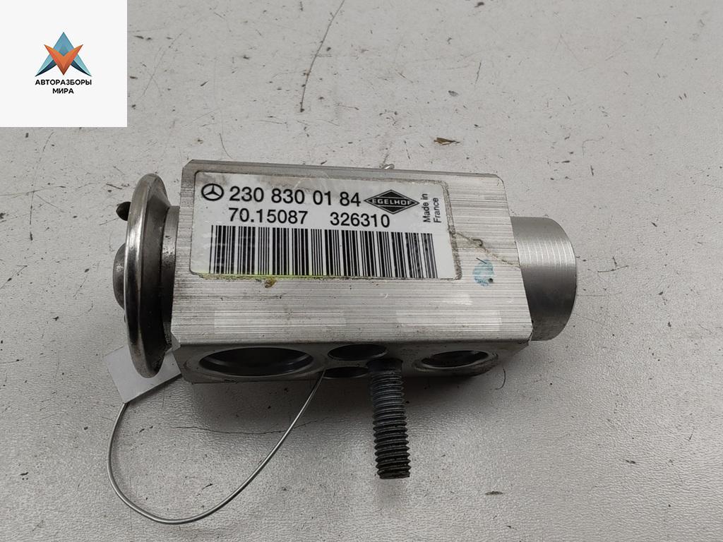 расширительный клапан кондиционера Mercedes-Benz S-Класс W221 2006, 4.7 л., бензин, АКПП, чёрный, седан, 2308300184 - фото №1