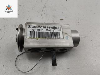 расширительный клапан кондиционера Mercedes-Benz S-Класс W221 2006, 4.7 л., бензин, АКПП, чёрный, седан, 2308300184