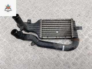 радиатор интеркулера Opel Zafira 1 поколение (A) [рестайлинг] 2004, 2.0 л., дизель, МКПП, серый, минивэн, 24406701