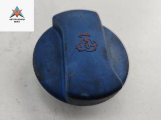 пробка расширительного бачка Volkswagen Sharan 1 поколение [рестайлинг] 2001, 2.0 л., бензин, МКПП, зелёный, минивэн, 7M3121321