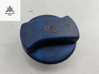 пробка расширительного бачка SEAT Alhambra 1 поколение [рестайлинг] 2005, 1.8 л., бензин, АКПП, серый, минивэн, 7M3121321