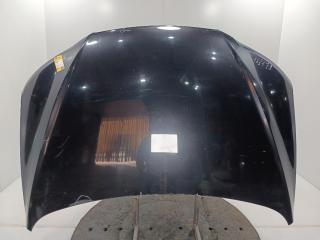 капот Hyundai Santa Fe 2 поколение (CM) [рестайлинг] 2009, цвет