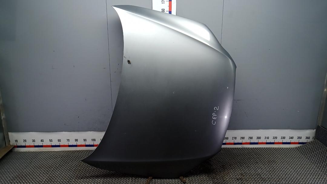 капот Audi Q7 4L 2007, 3.0 л., D TDI, дизель, АКПП, внедорожник 5 дв., 4L0823029A - фото №1