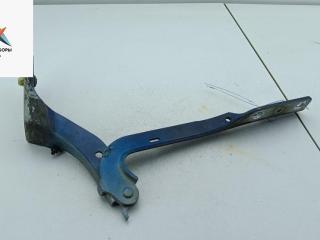 петля капота правая Peugeot 307 1 поколение [рестайлинг] 2006, синий, хетчбэк 5 дв., 9680749080