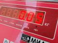Патрон лампы фары BMW 5 серия E39 [рестайлинг] 2000, 2.8 л., бензин, АКПП, чёрный, универсал - фото №3