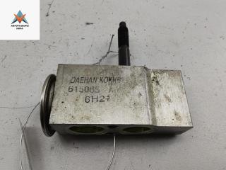 расширительный клапан кондиционера SsangYong Rodius 1 поколение [рестайлинг] 2007, 2.7 л., дизель, АКПП, чёрный, минивэн, 615065A1006H21