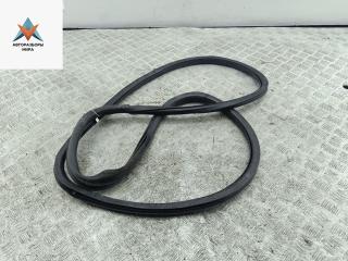 уплотнитель двери Volkswagen Passat B6 2005, 1.6 л., бензин, МКПП, серый, универсал