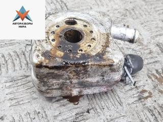 радиатор масляный Volkswagen Passat B5 [рестайлинг] 2001, 2.0 л., бензин, МКПП, синий, универсал, 028117021P