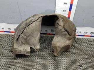 Подкрылок задний правый Land Rover Range Rover Evoque L551 2018, 2.0 л., дизель, МКПП, внедорожник 5 дв.