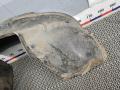 Подкрылок передний правый Volkswagen Transporter T5 2006, 2.5 л., дизель, МКПП, микроавтобус - фото №4