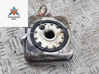 радиатор масляный Volkswagen Passat B5 1999, 1.8 л., бензин, МКПП, синий, универсал, 06B117021B