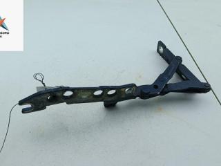 петля капота левая BMW 5 серия E39 [рестайлинг] 2000, синий, универсал, 41618203275