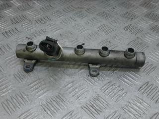 топливная рампа Audi Q7 4L 2006, 3.0 л., D TDI, дизель, АКПП, внедорожник 5 дв., BN