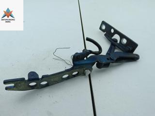 петля капота правая BMW 5 серия E39 [рестайлинг] 2000, синий, универсал, 41618203276