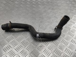 патрубок радиатора Ford Focus I 2002, 1.8 л., дизель, 1S418B274BE