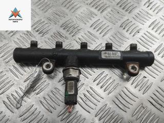 топливная рампа Citroen C5 1 поколение [рестайлинг] 2007, 2.0 л., дизель, МКПП, чёрный, универсал, 9681649580