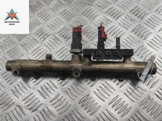 топливная рампа Peugeot Expert 1 поколение [рестайлинг] 2004, 2.0 л., дизель, МКПП, красный, фургон, 0445214017