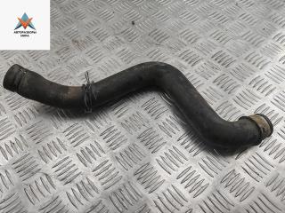 патрубок (трубопровод, шланг) Peugeot Expert 1 поколение [рестайлинг] 2004, 2.0 л., дизель, МКПП, красный, фургон