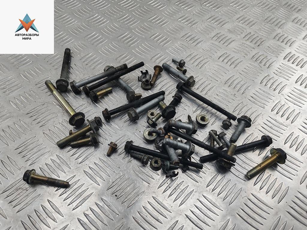 болт двигателя Renault Scenic 1 поколение 1998, 1.6 л., бензин, МКПП, синий, минивэн - фото №1