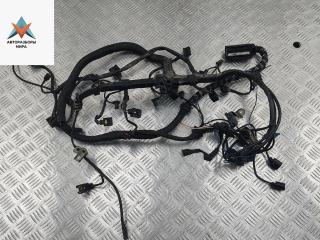 проводка двигателя Mercedes-Benz Vito-2 / Viano W639 2006, 2.2 л., дизель, МКПП, белый, микроавтобус, 0001501415