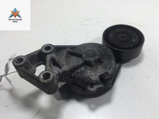 механизм натяжения ремня, цепи Volkswagen Sharan 1 поколение [рестайлинг] 2002, 1.9 л., дизель, МКПП, синий, минивэн