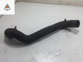 патрубок радиатора Renault Scenic 2 поколение 2004, 2.0 л., бензин, 8200320160