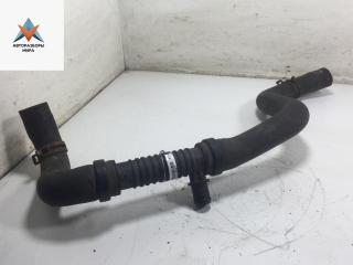 патрубок радиатора Renault Scenic 2 поколение 2004, 2.0 л., бензин, 800383815