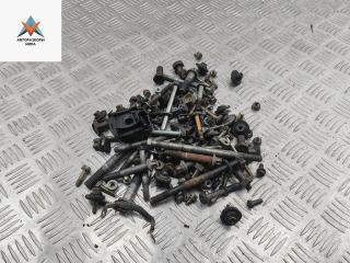 болт двигателя BMW 5 серия E39 1999, 2.5 л., бензин, АКПП, серый, универсал