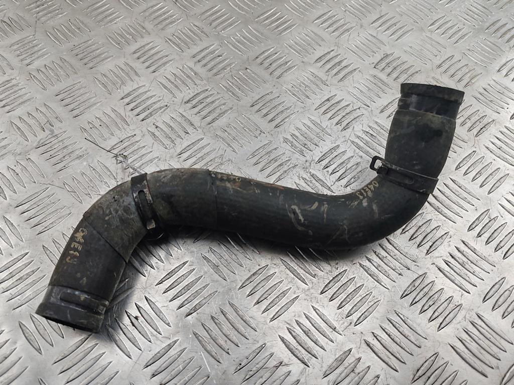 патрубок (трубопровод, шланг) Daewoo Tacuma / Rezzo 2004, 2.0 л., бензин, МКПП, синий, минивэн, 96263882