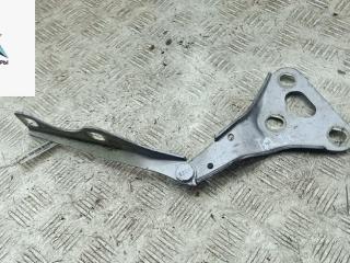 петля капота левая Opel Zafira 1 поколение (A) [рестайлинг] 2004, серый, минивэн, 13172637