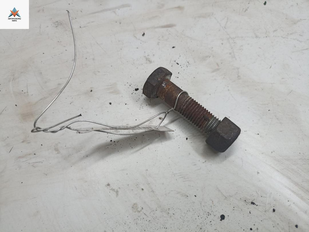 Болт крепления Opel Zafira 1 поколение (A) 2002, 1.8 л., бензин, МКПП, синий, минивэн - фото №1