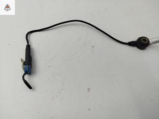 датчик детонации Opel Astra G 1999, 1.6 л., бензин, МКПП, серый, хетчбэк 5 дв., 24024