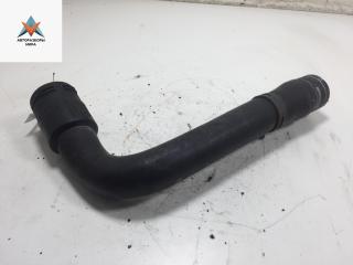 патрубок радиатора Volkswagen Passat B5 1997, 1.6 л., бензин, 8D0121101K