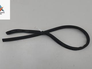 уплотнитель двери BMW X5 E53 [рестайлинг] 2003, 3.0 л., бензин, МКПП, чёрный, внедорожник 5 дв.