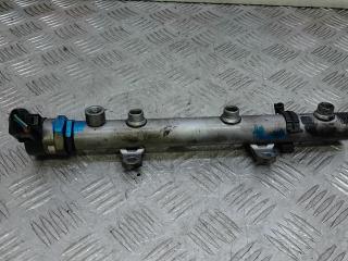 топливная рампа Audi Q7 4L 2007, 3.0 л., D TDI, дизель, АКПП, внедорожник 5 дв., 059130090AG