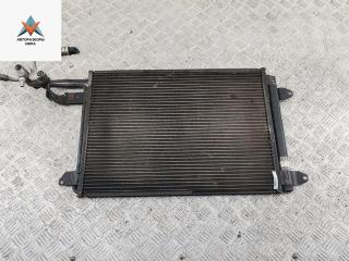 радиатор кондиционера Audi A3 8P 2003, 1.6 л., бензин, МКПП, серый, хетчбэк 3 дв., 1K0820411F