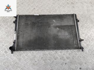 радиатор охлаждения Audi A3 8P 2003, 1.6 л., бензин, МКПП, серый, хетчбэк 3 дв., 99000936
