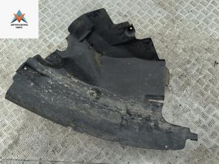 Подкрылок передний правый Volkswagen Crafter 1 поколение 2007, 2.5 л., дизель, микроавтобус, A9066841377