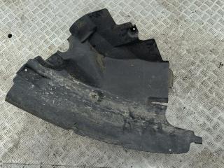 Подкрылок передний правый Volkswagen Crafter 1 поколение 2007, 2.5 л., дизель, микроавтобус, A9066841377