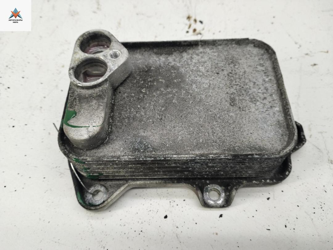 радиатор масляный Volkswagen Golf 5 поколение 2003, 1.6 л., бензин, МКПП, чёрный, хетчбэк 3 дв., 03D117021E - фото №1