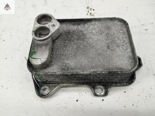 радиатор масляный Volkswagen Golf 5 поколение 2003, 1.6 л., бензин, МКПП, чёрный, хетчбэк 3 дв., 03D117021E