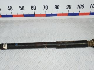 амортизатор задний Ford EcoSport 2 поколение 2015, 1.5 л., бензин, МКПП, внедорожник 5 дв.